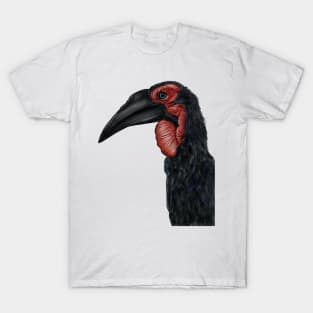 Southern Ground Hornbill Illustration T-Shirt